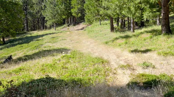 $545,000 | 0 Starkes Grade Road, Pollock Pines, CA 95726