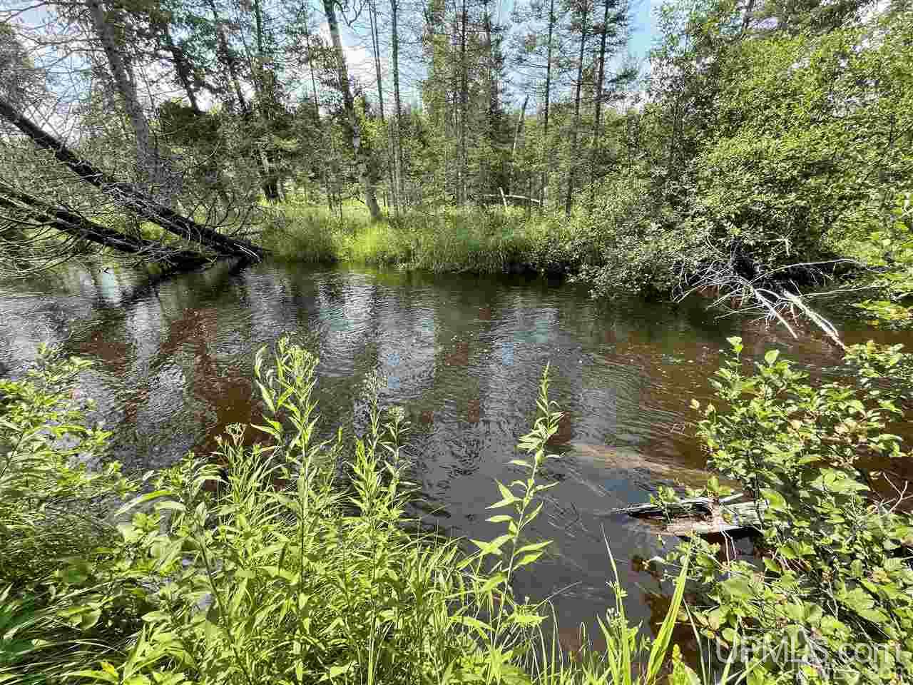Tbd Off Nowack Road, Unit 1 Powers, MI 49874 - Photo 20 of 32