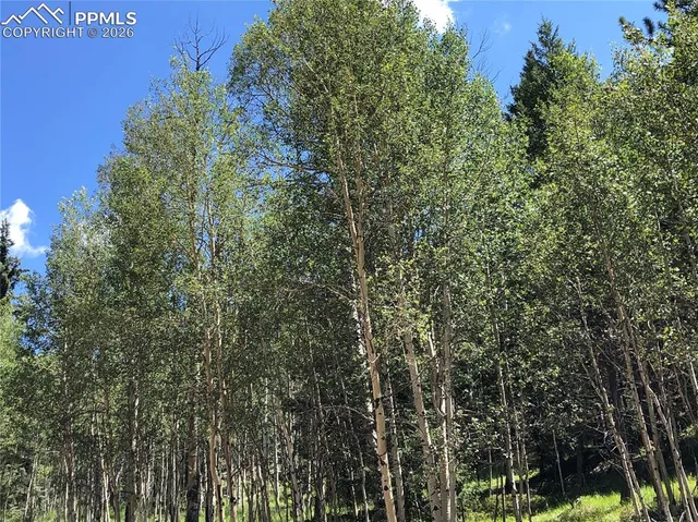 a view of outdoor space and trees