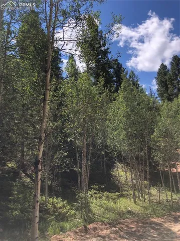 a view of a yard with street