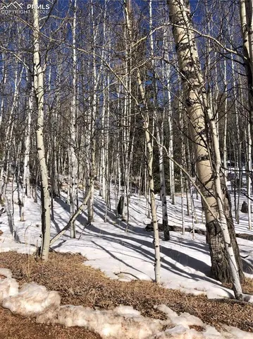 $19,000 | 3015 North Mountain Estates Road, Florissant, CO 80816