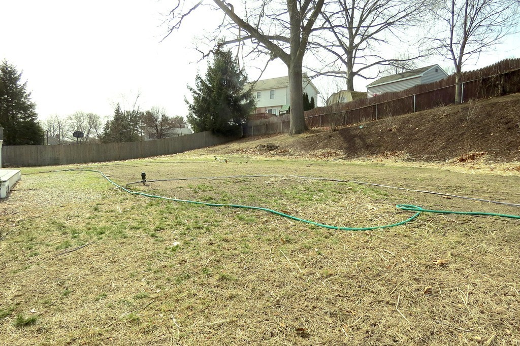 635 Piper Road West Springfield, MA 01089 - Photo 23 of 24 a view of yard with trees