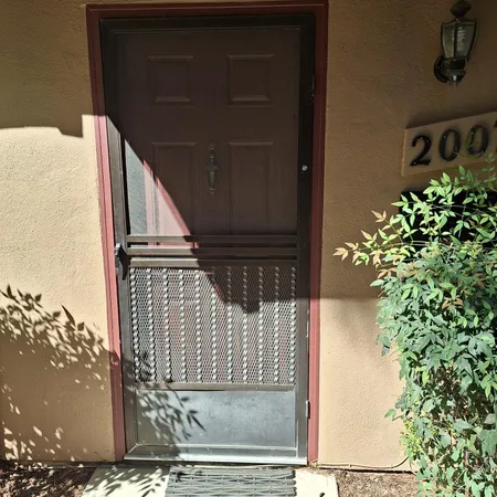 a view of a yard with plants and a bench