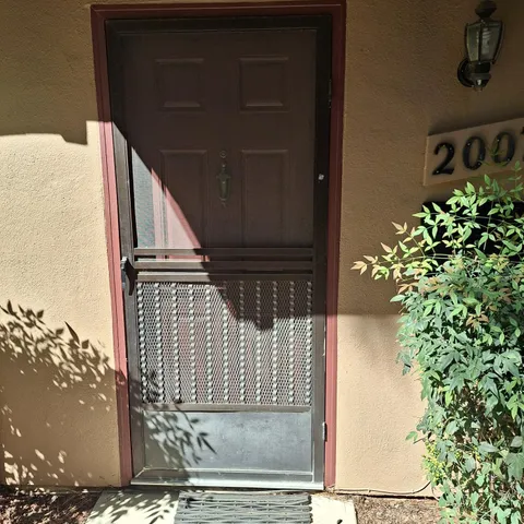 a view of a yard with plants and a bench