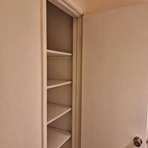 a view of a yard from a window