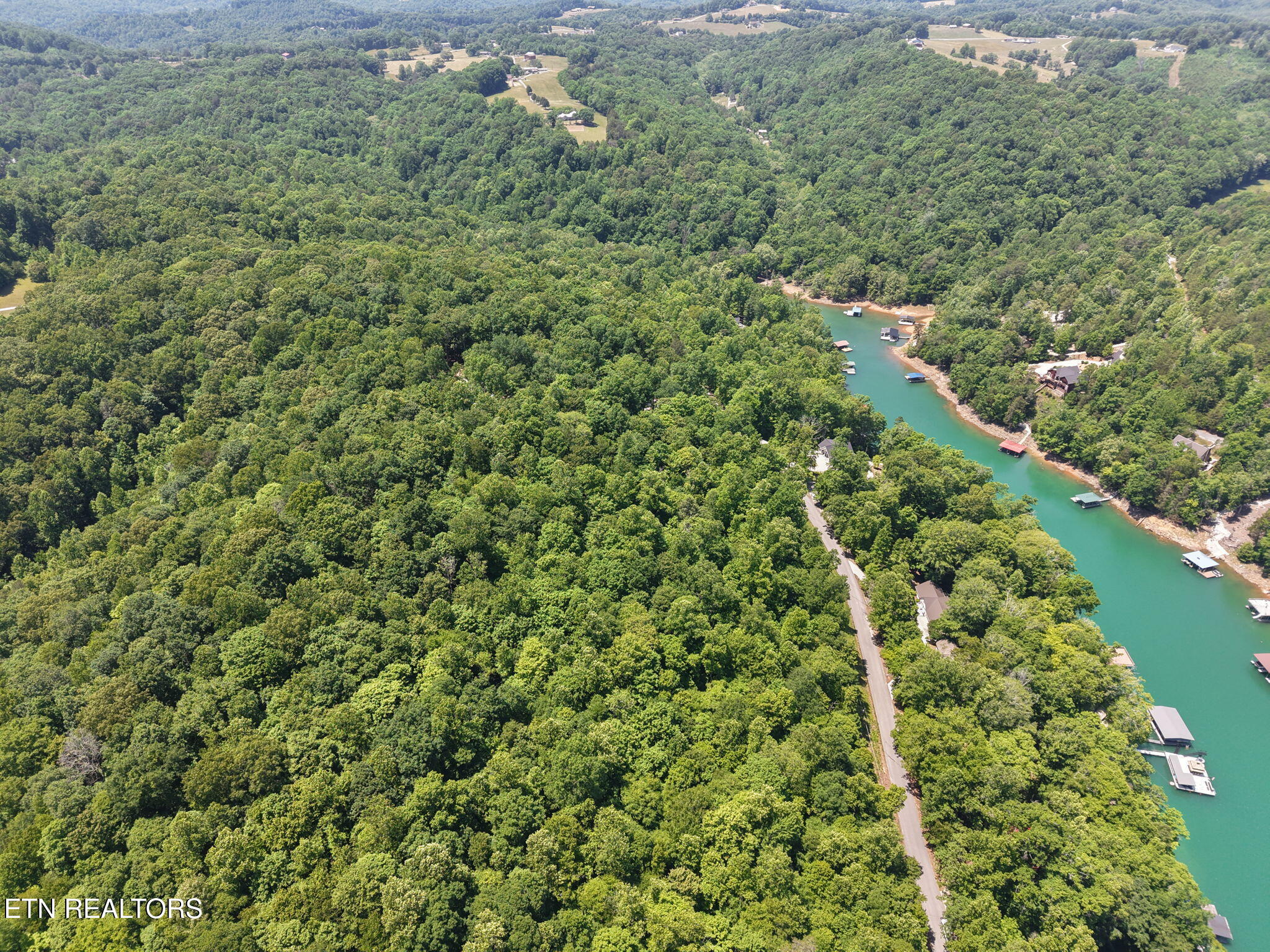 Yoakum Hollow Road Jacksboro, TN 37757 - Photo 5 of 17 15-web-or-mls-DJI_20260518131640_0042_D