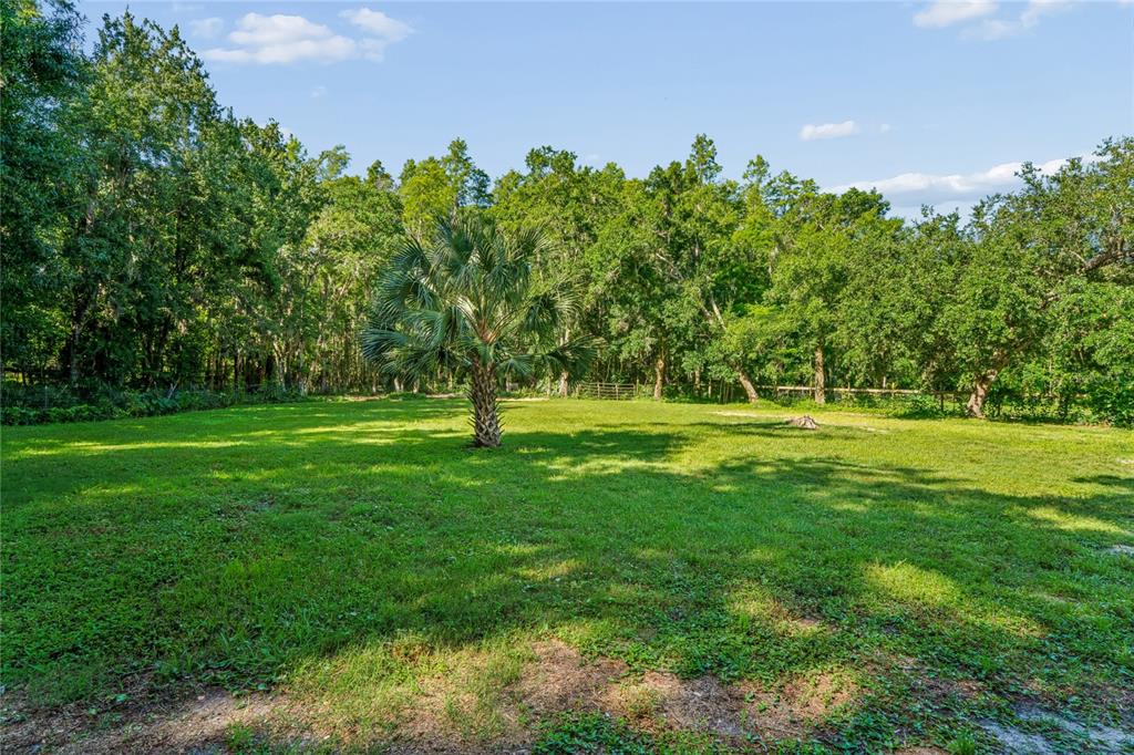 3530 Old Keystone Road Tarpon Springs, FL 34688 - Photo 59 of 71