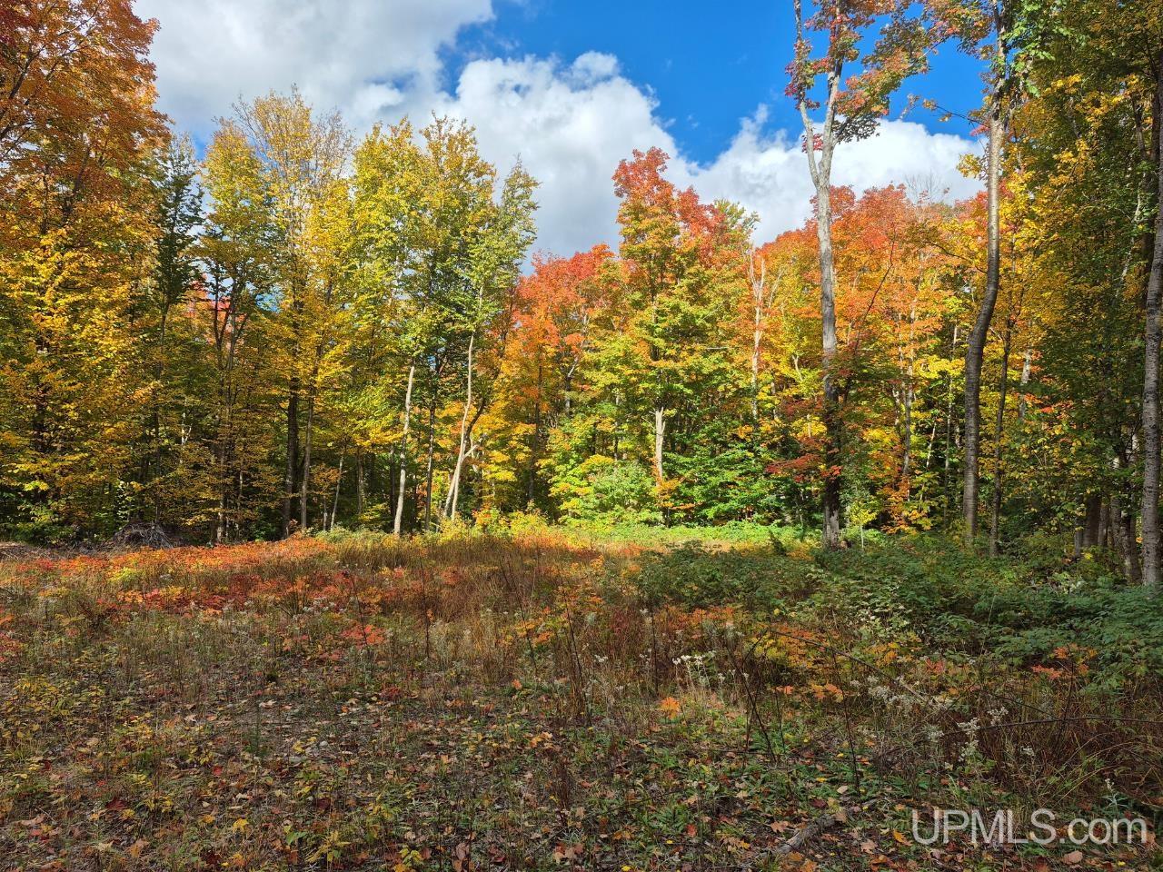 510 Rd Ishpeming Mi 49849 Road Ishpeming, MI 49849 - Photo 14 of 25 Gallery Image 14