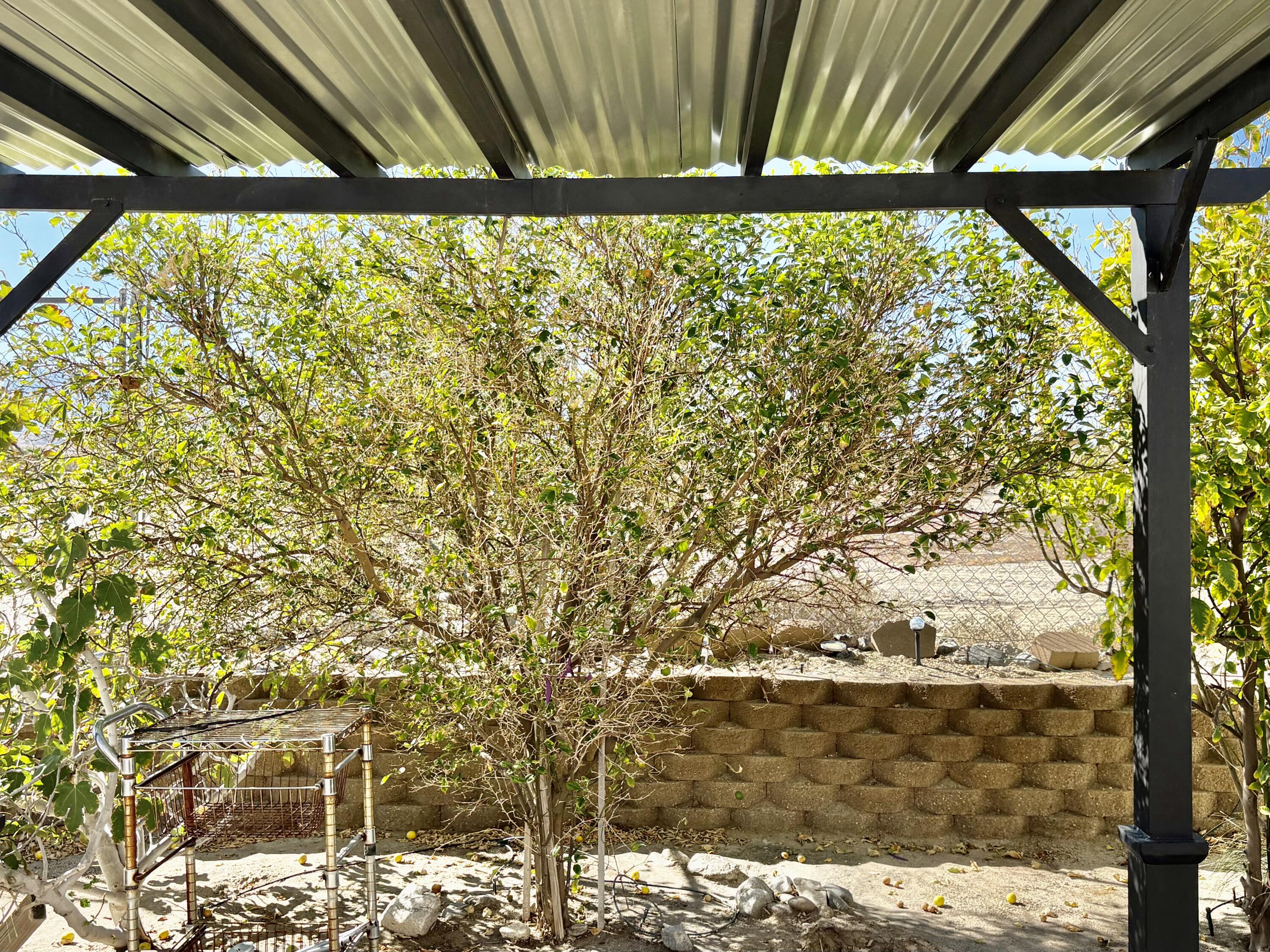 74711 Dillon Road, Unit 173 Desert Hot Springs, CA 92241 - Photo 24 of 47 Baxk Patio