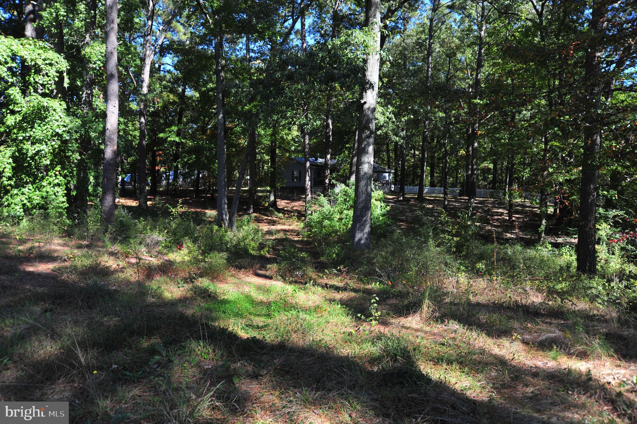 48595 Sea Side View Road Ridge, MD 20680 - Photo 13 of 18 Heart of lot looking North from waterfront.