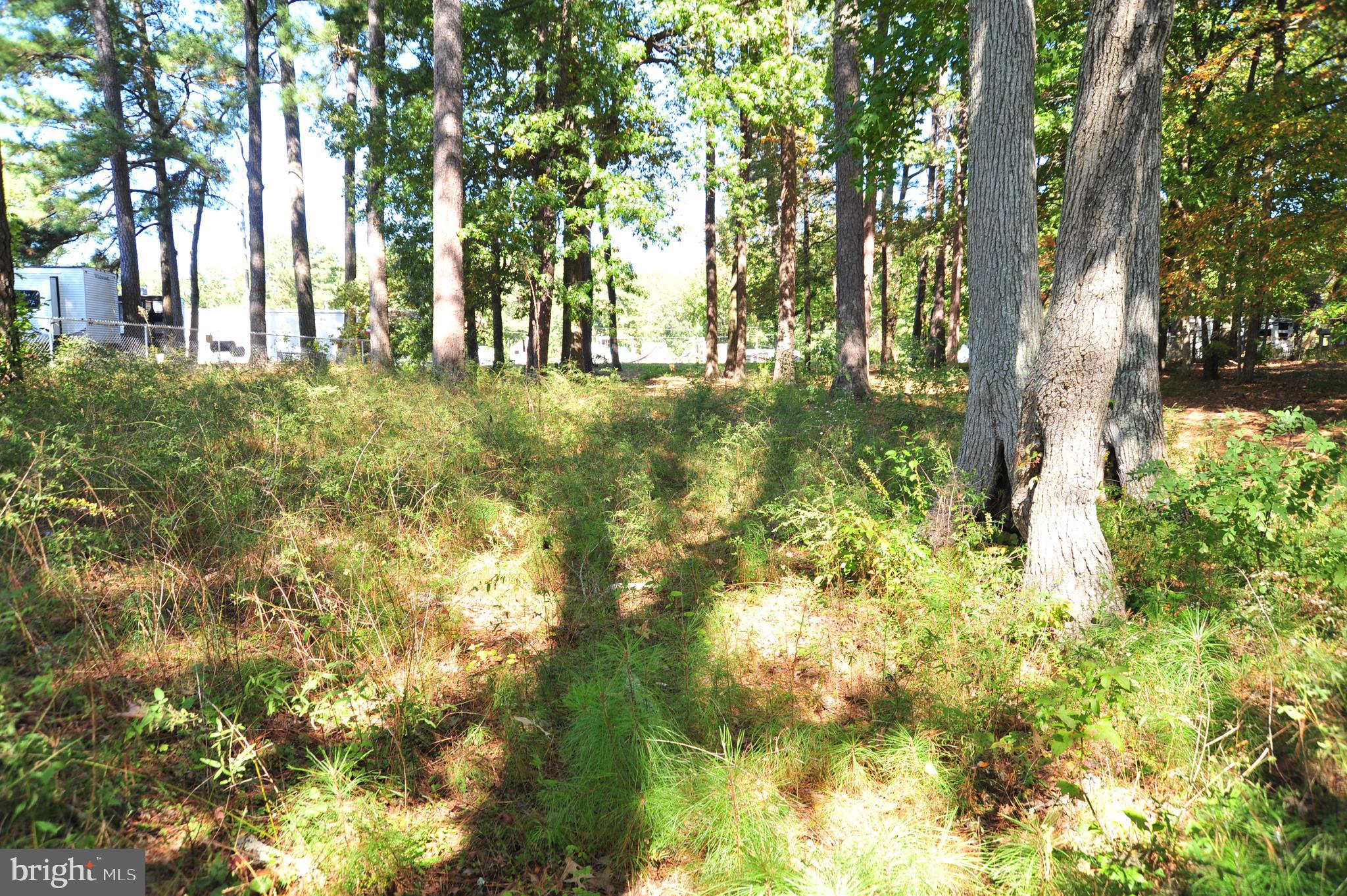 48595 Sea Side View Road Ridge, MD 20680 - Photo 15 of 18 Hillside in lot interior.