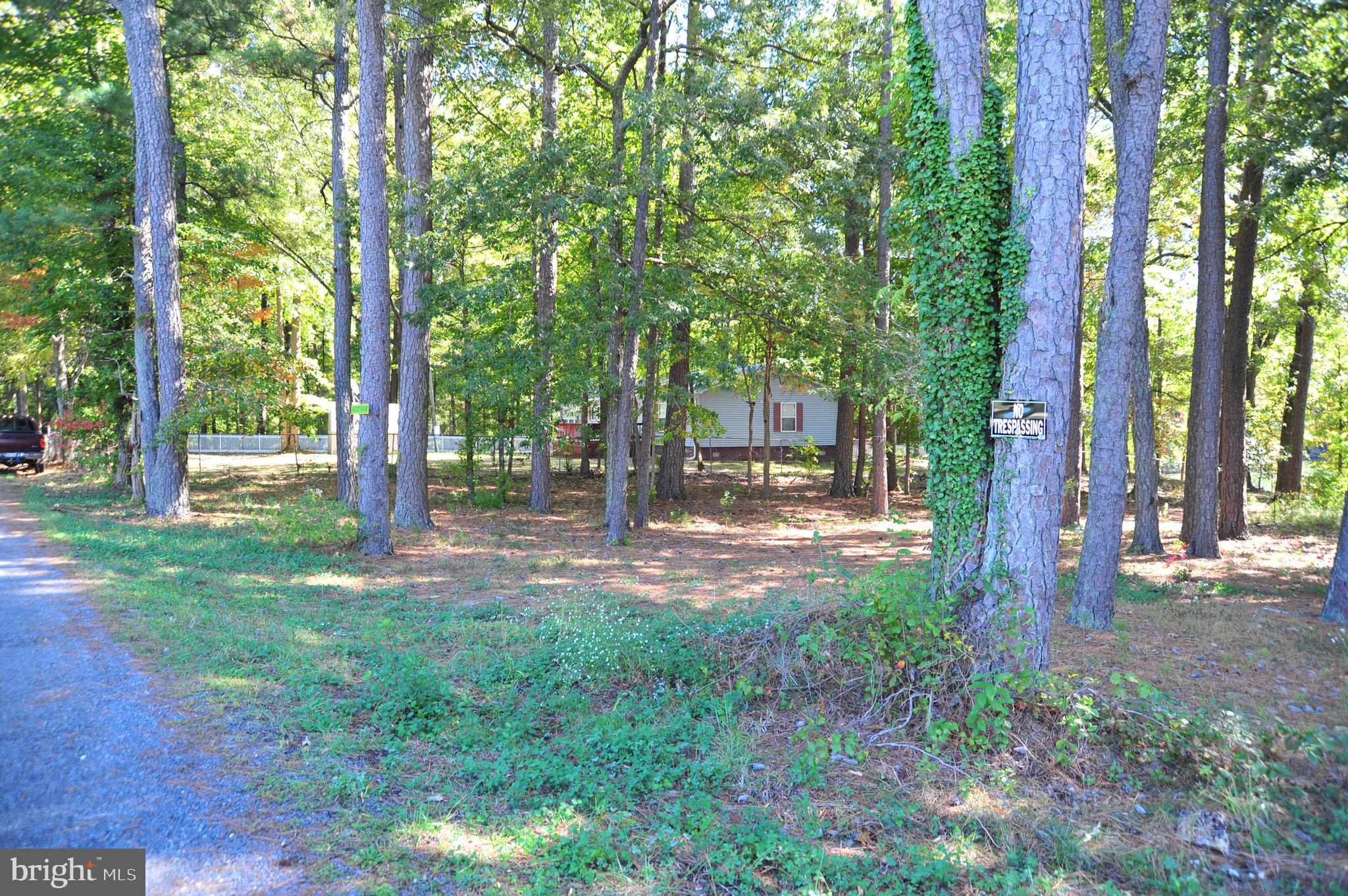 48595 Sea Side View Road Ridge, MD 20680 - Photo 2 of 18 Front of lot at roadway.