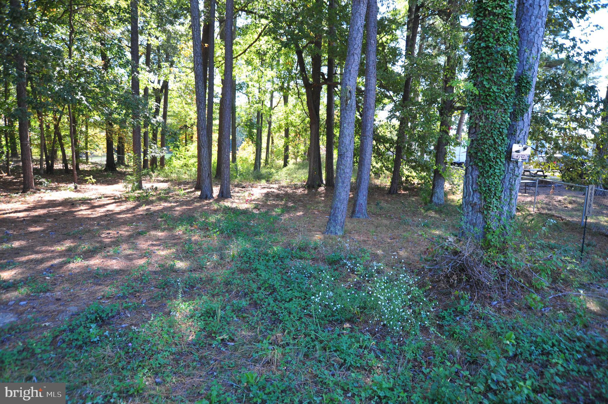 48595 Sea Side View Road Ridge, MD 20680 - Photo 3 of 18 Front of lot.