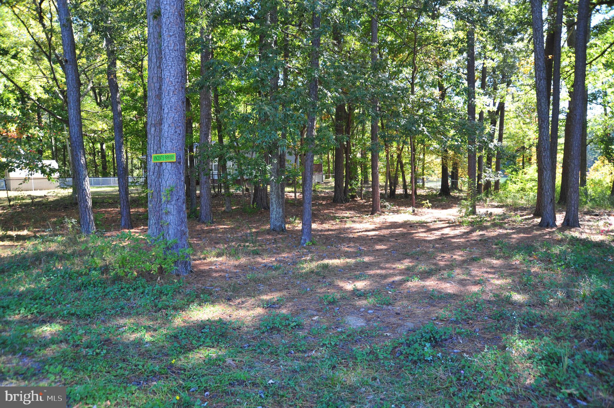 48595 Sea Side View Road Ridge, MD 20680 - Photo 4 of 18 Front of lot