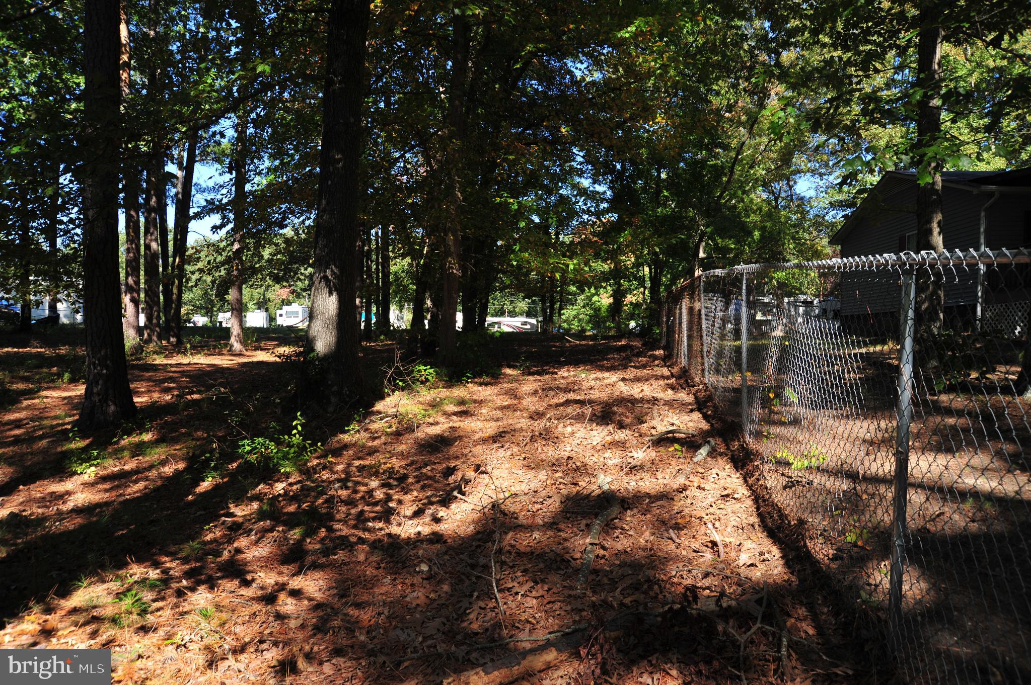 48595 Sea Side View Road Ridge, MD 20680 - Photo 7 of 18 East boundary line fenced.