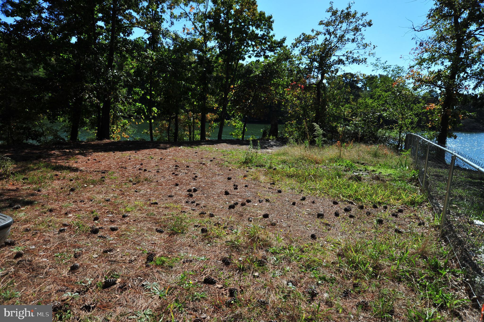 48595 Sea Side View Road Ridge, MD 20680 - Photo 10 of 18 Southwest corner of lot.