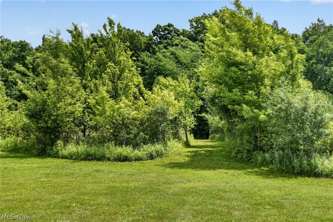 16727 Pitts Road Wellington, OH 44090 - Photo 42 of 50 View leading to the grassy trail along the woods