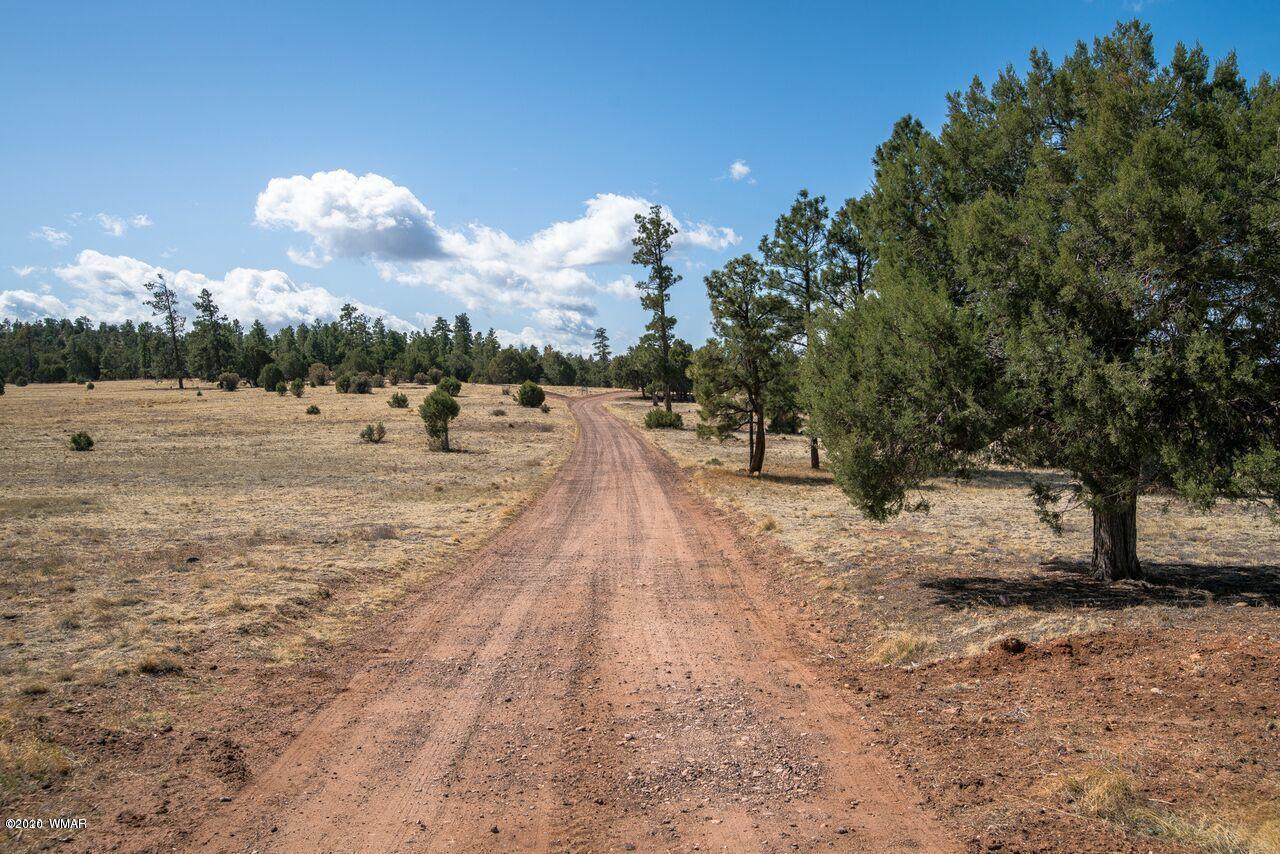 1441 Capps Ranch Road Show Low, AZ 85901 - Photo 5 of 6