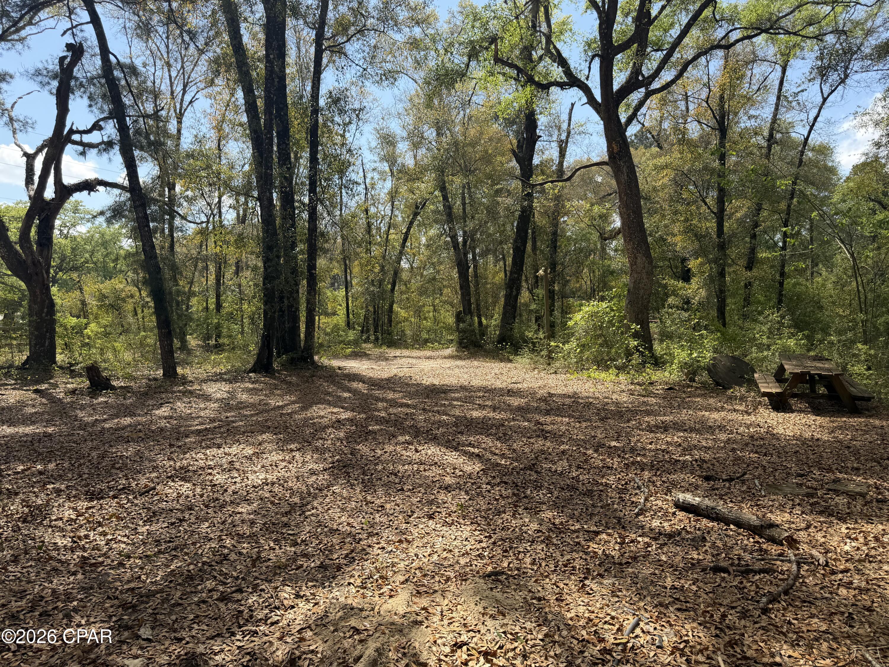 5198 Millers Ferry Road Vernon, FL 32462 - Photo 12 of 39