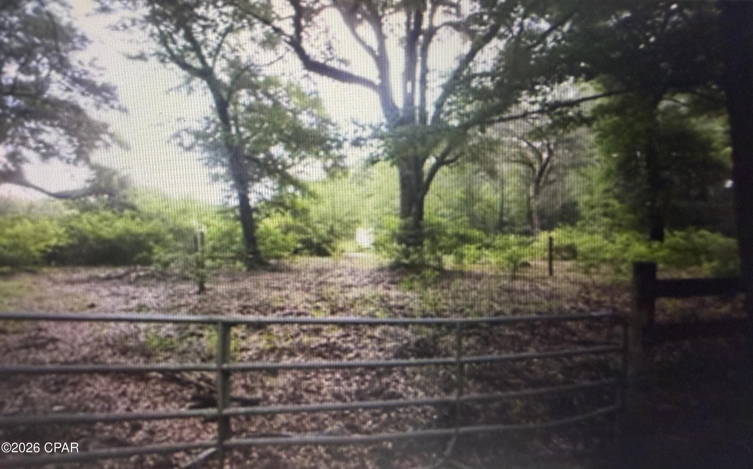 5198 Millers Ferry Road Vernon, FL 32462 - Photo 38 of 39