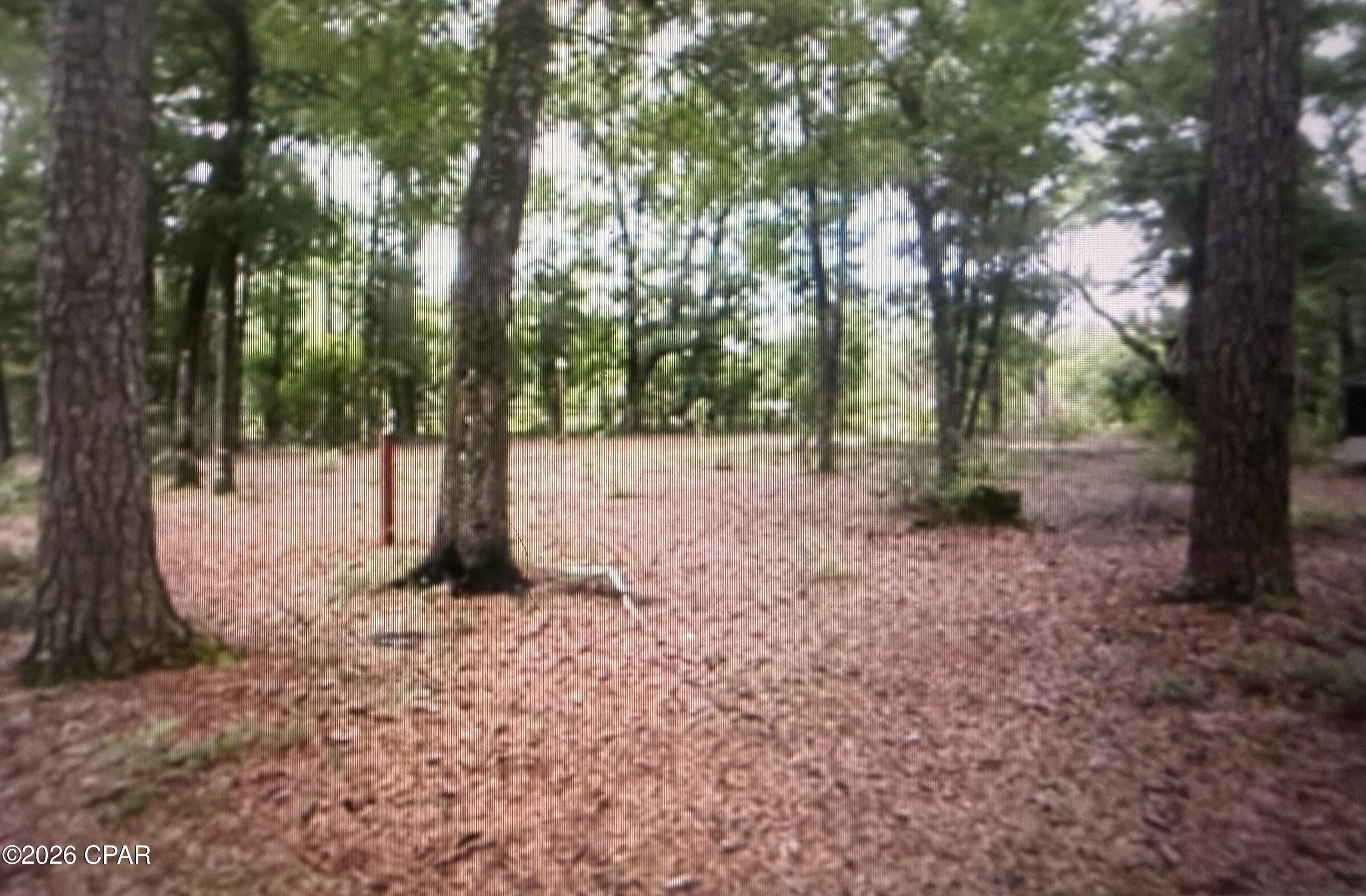 5198 Millers Ferry Road Vernon, FL 32462 - Photo 39 of 39