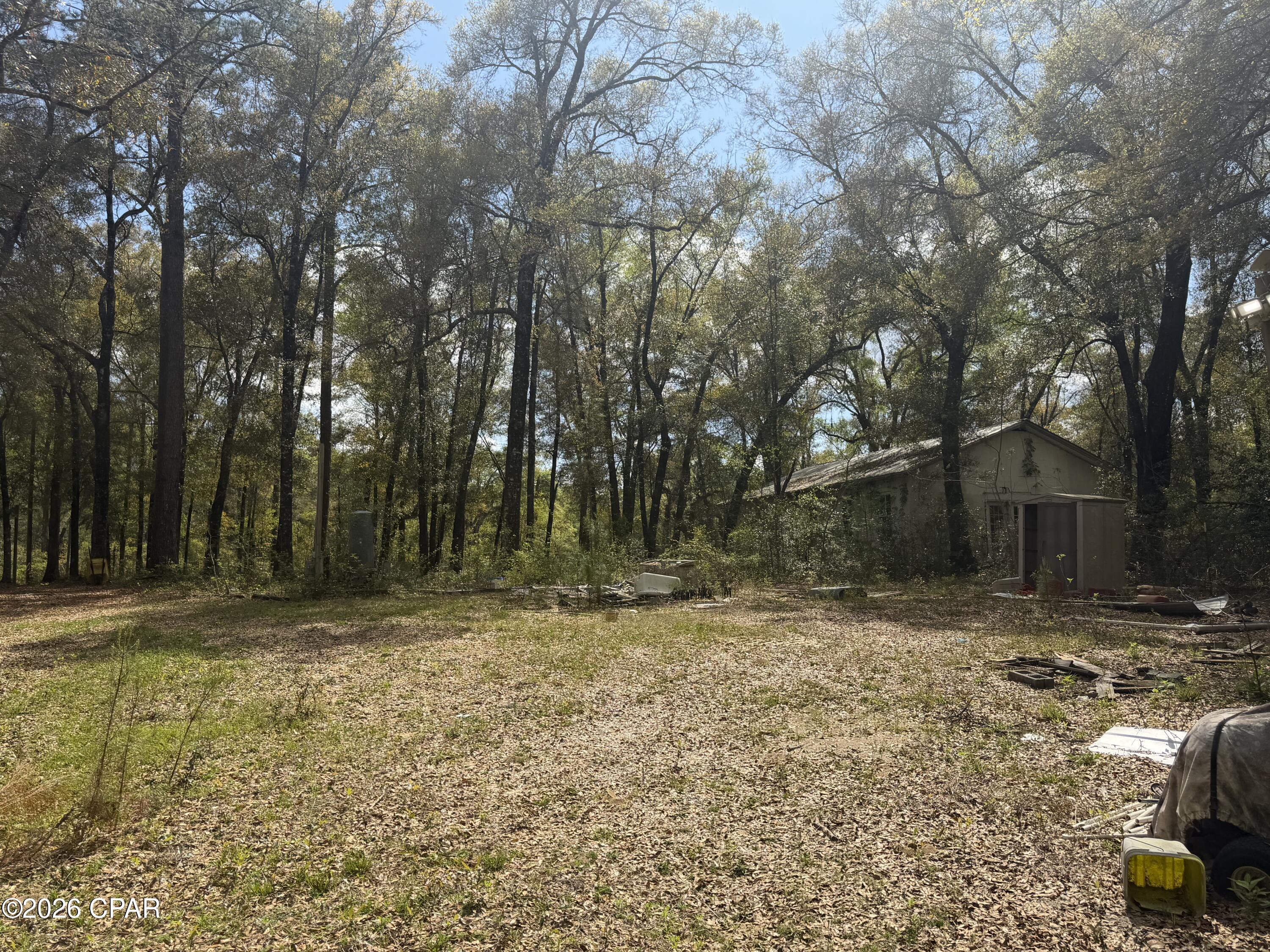 5198 Millers Ferry Road Vernon, FL 32462 - Photo 10 of 39