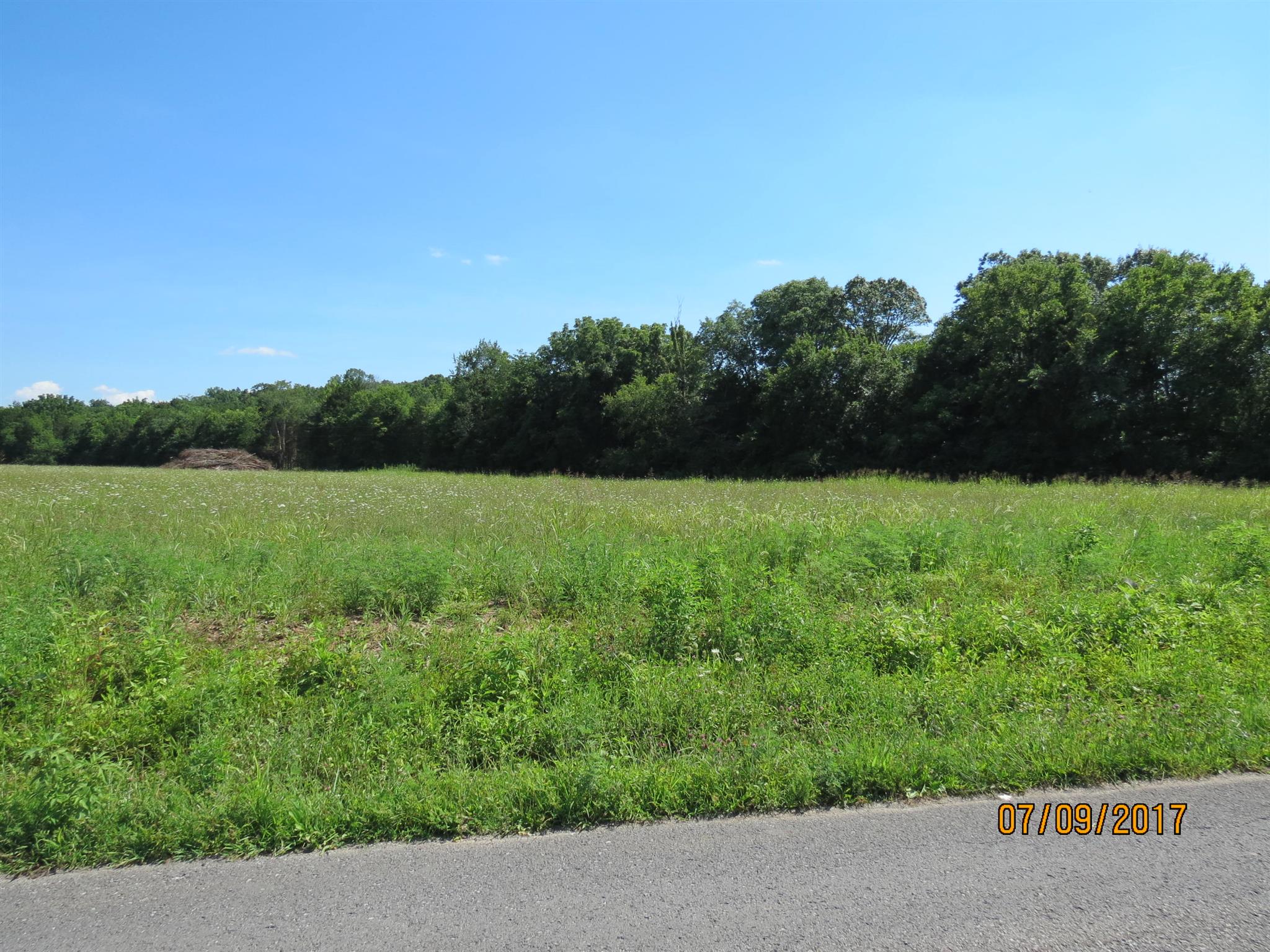 200 Richmond Road Watertown, TN 37184 - Photo 2 of 10 a view of garden with trees