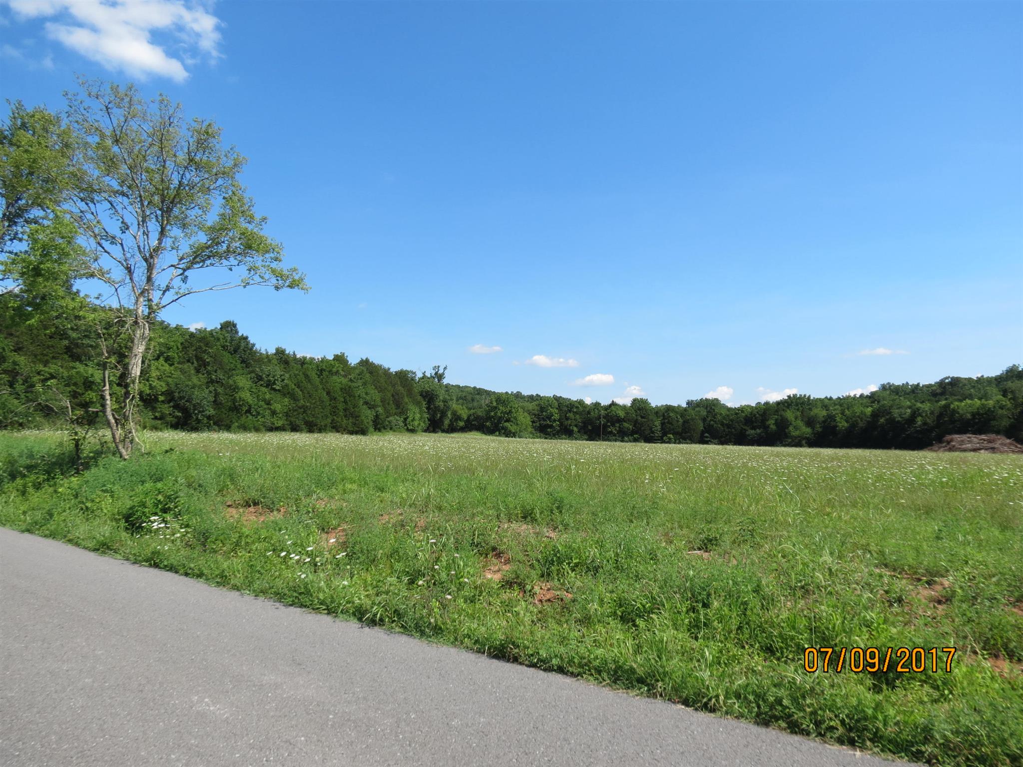 200 Richmond Road Watertown, TN 37184 - Photo 4 of 10 a view of a lush green outdoor space with a lake view