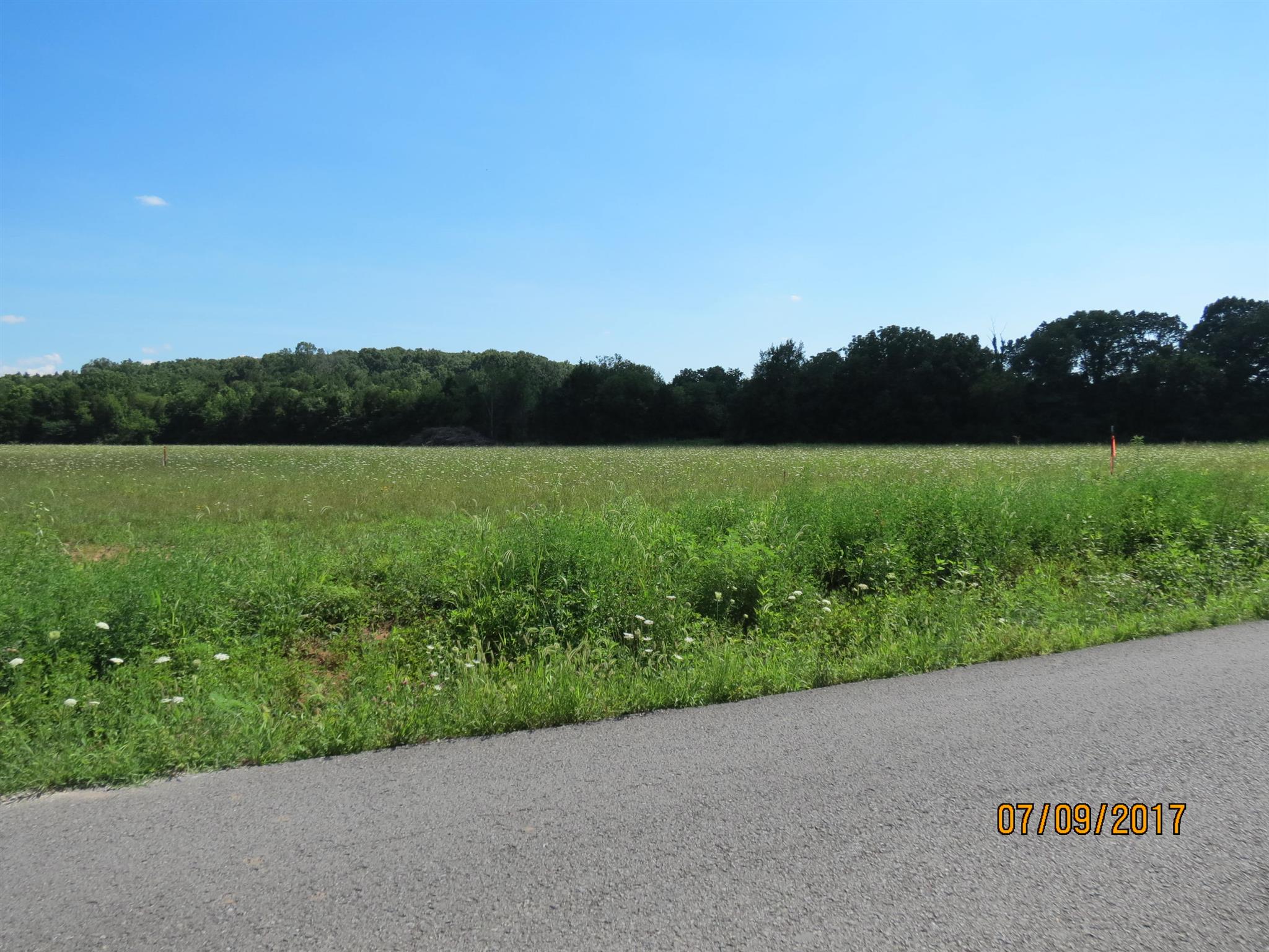 200 Richmond Road Watertown, TN 37184 - Photo 6 of 10 a view of a lush green field