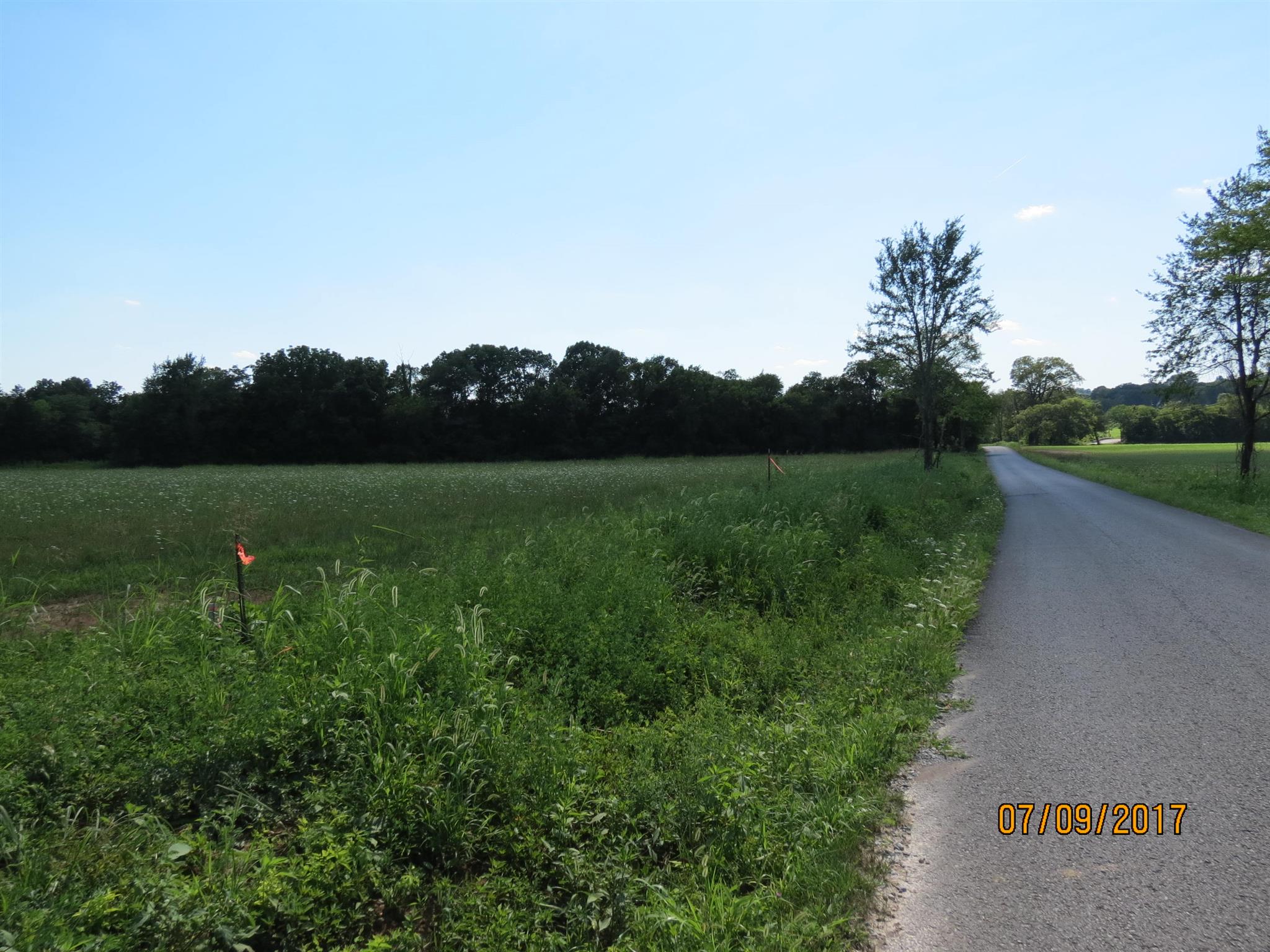 200 Richmond Road Watertown, TN 37184 - Photo 9 of 10 a view of a field of grass and trees