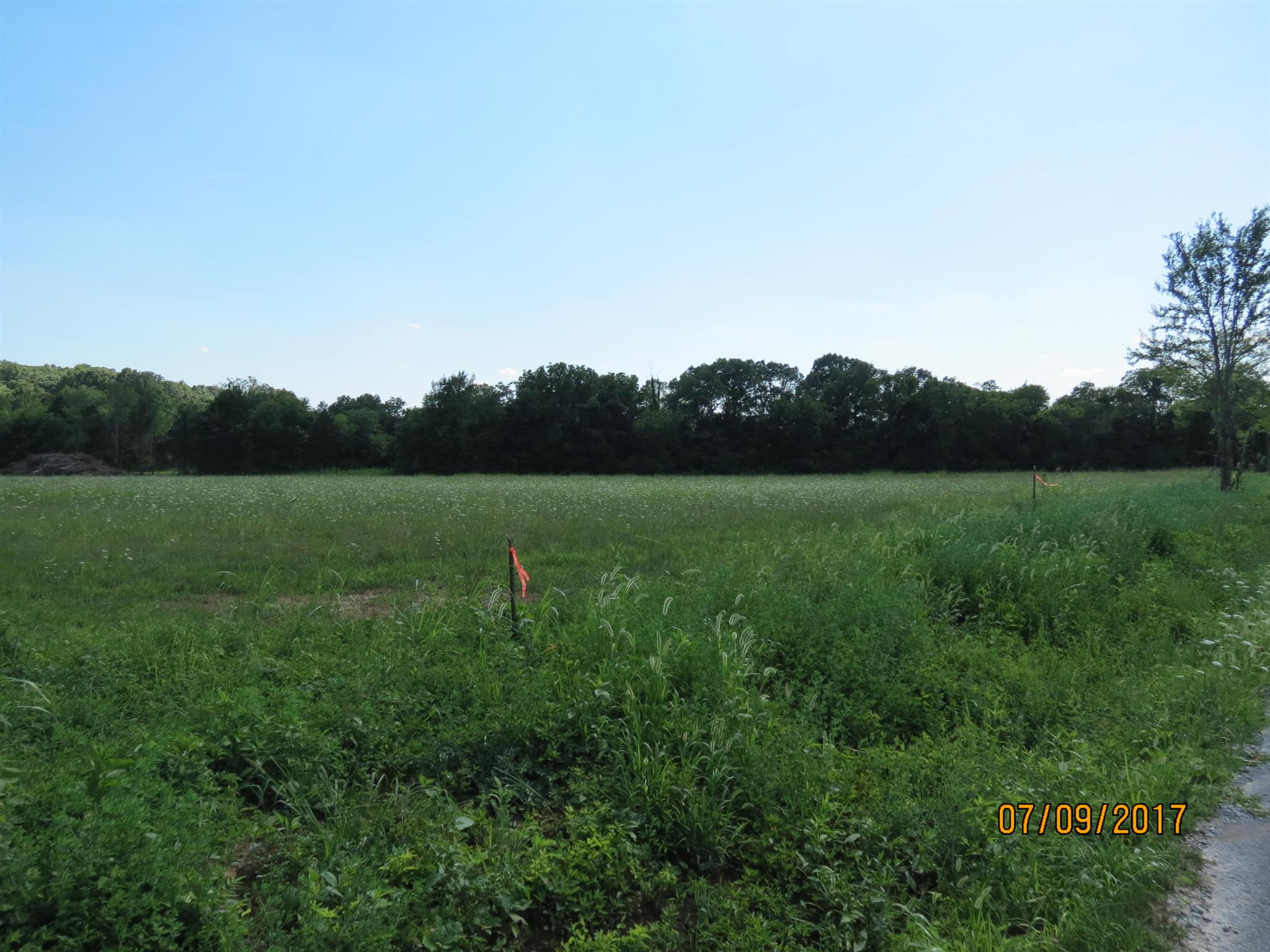 200 Richmond Road Watertown, TN 37184 - Photo 10 of 10 a view of a field with grass and trees