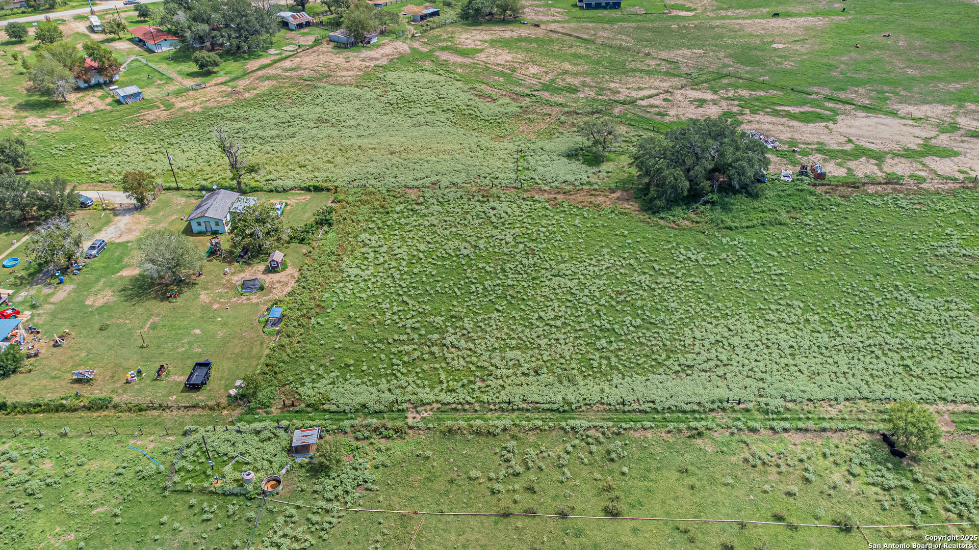 146 County Road 166 Elmendorf, TX 78112 - Photo 8 of 14 a view of a green field with lots of bushes