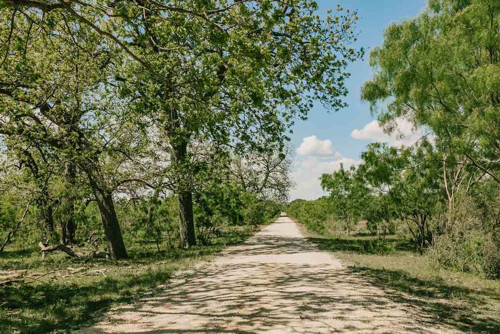 375 Co Road Uvalde, TX 78801 - Photo 6 of 30 a view of a yard