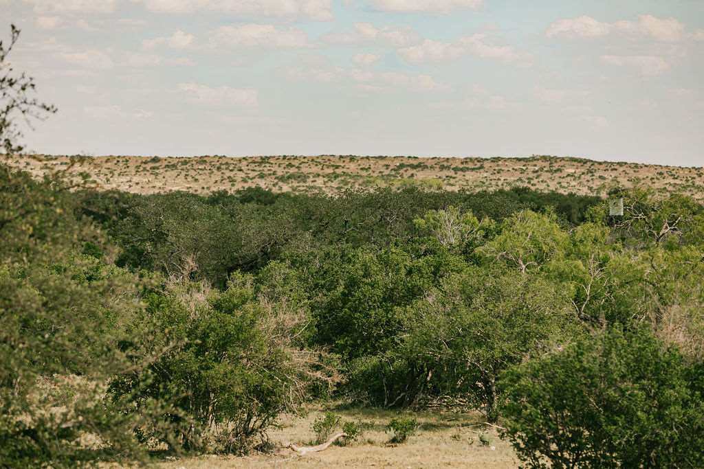 375 Co Road Uvalde, TX 78801 - Photo 7 of 30