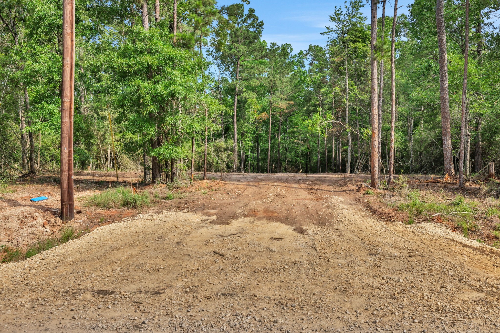 Tbd Sugar Hill Road Livingston, TX 77351 - Photo 3 of 12 A cleared entrance leads into the property, offering an open, build-ready area up front.