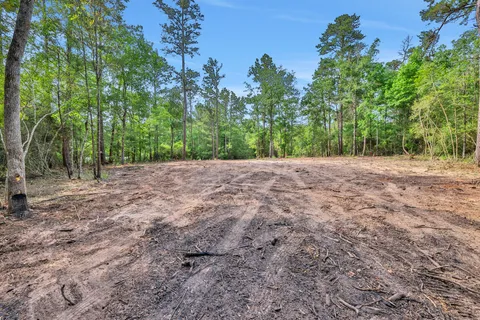 $80,000 | Tbd Sugar Hill Road, Livingston, TX 77351