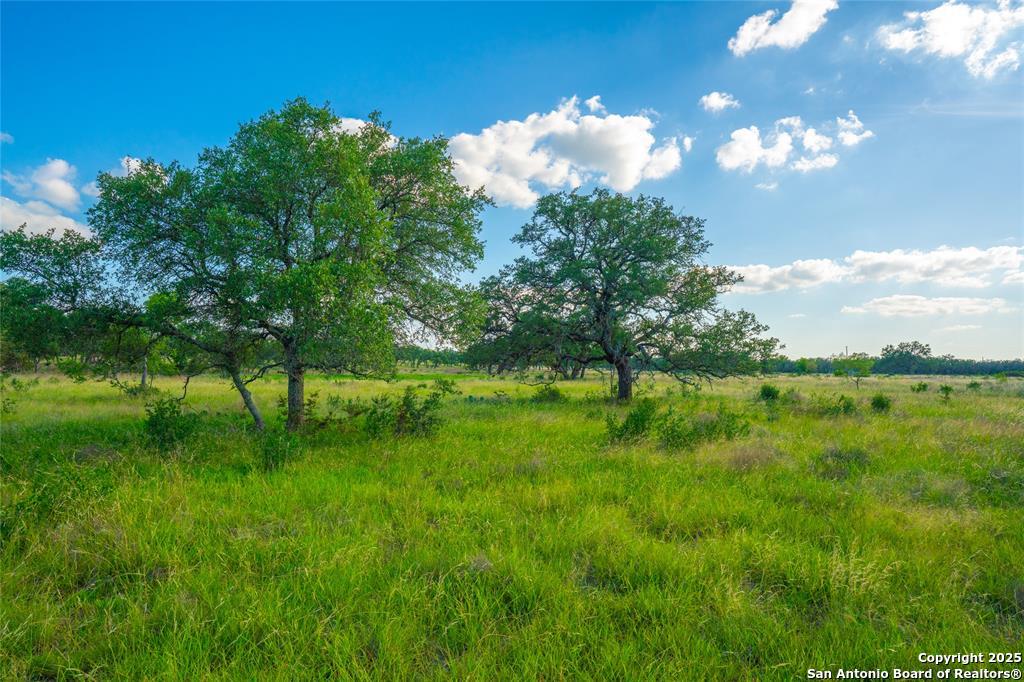 0 Long View Ranch Johnson City, TX 78636 - Photo 4 of 11 a backyard of a house with lots of green space and lake view