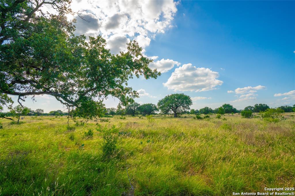 0 Long View Ranch Johnson City, TX 78636 - Photo 9 of 11 a view of an ocean and a yard