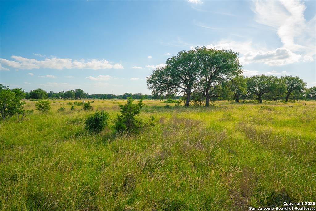 0 Long View Ranch Johnson City, TX 78636 - Photo 10 of 11 a view of a lake view