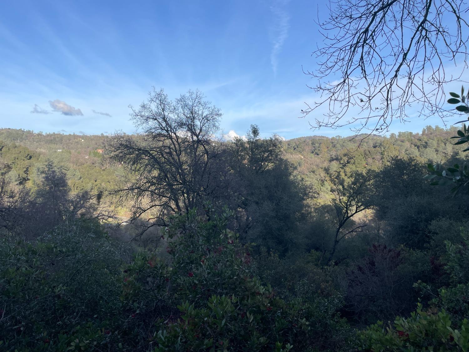 0 Rossler Road Placerville, CA 95667 - Photo 8 of 11 a view of mountain view with lots of trees