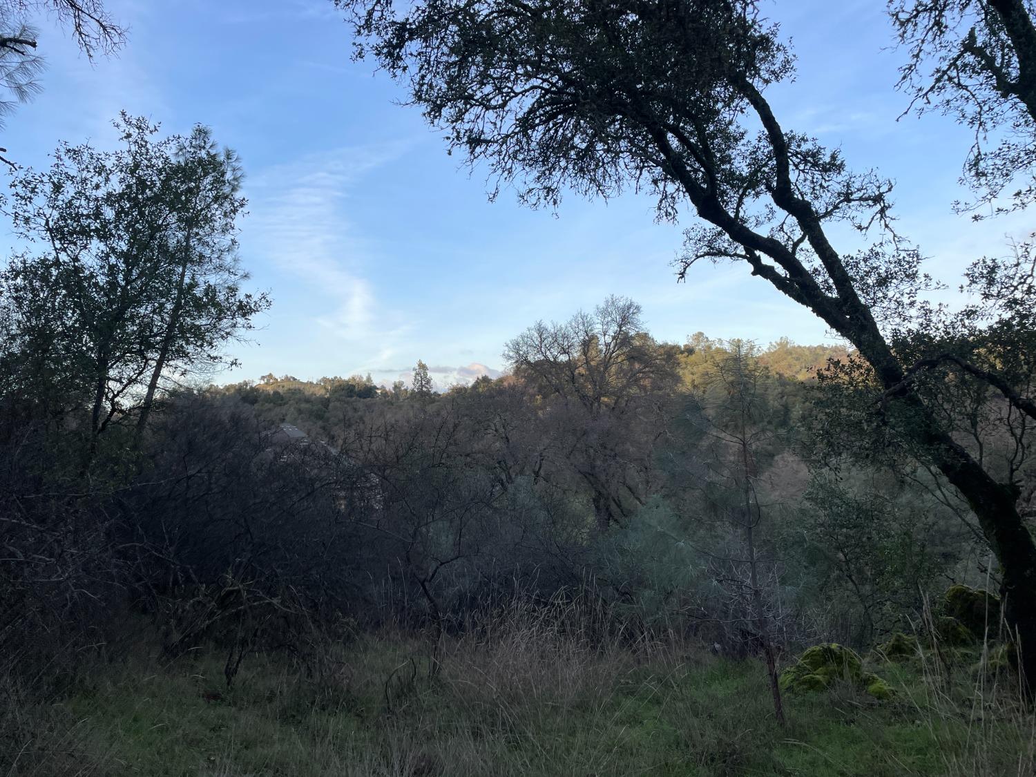 0 Rossler Road Placerville, CA 95667 - Photo 9 of 11 a view of mountain view with lots of trees