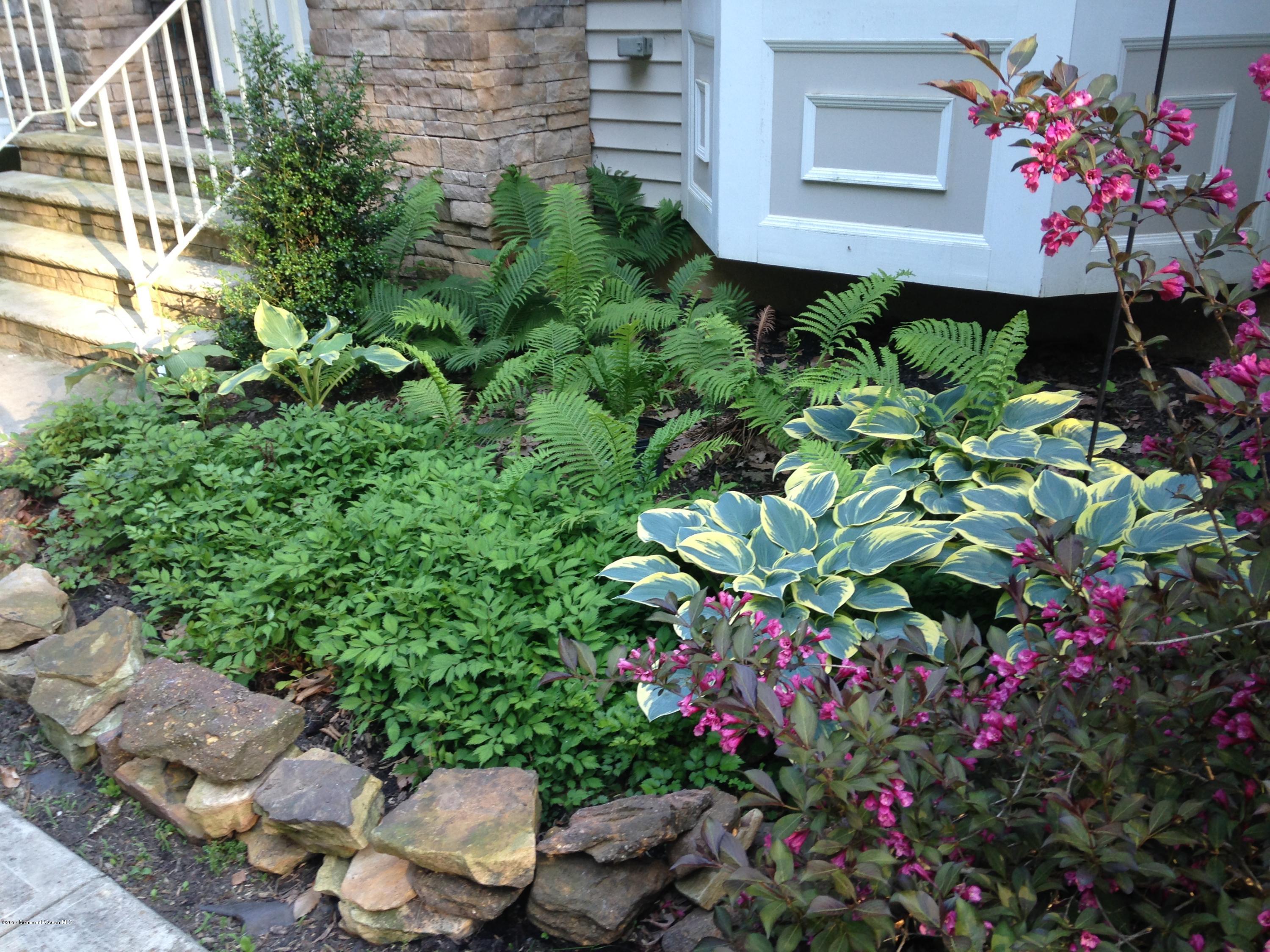 34 Stone Hill Road Allentown, NJ 08501 - Photo 34 of 36 IMG_1567