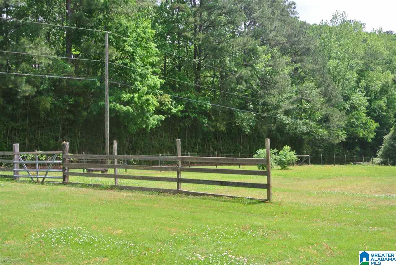 5439 Old Springville Road Northeast Pinson, AL 35126 - Photo 6 of 26
