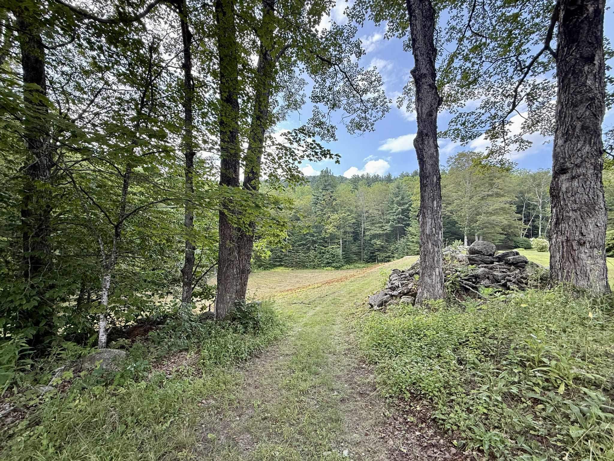 1342 Old Coach Road Chester, VT 05143 - Photo 43 of 56