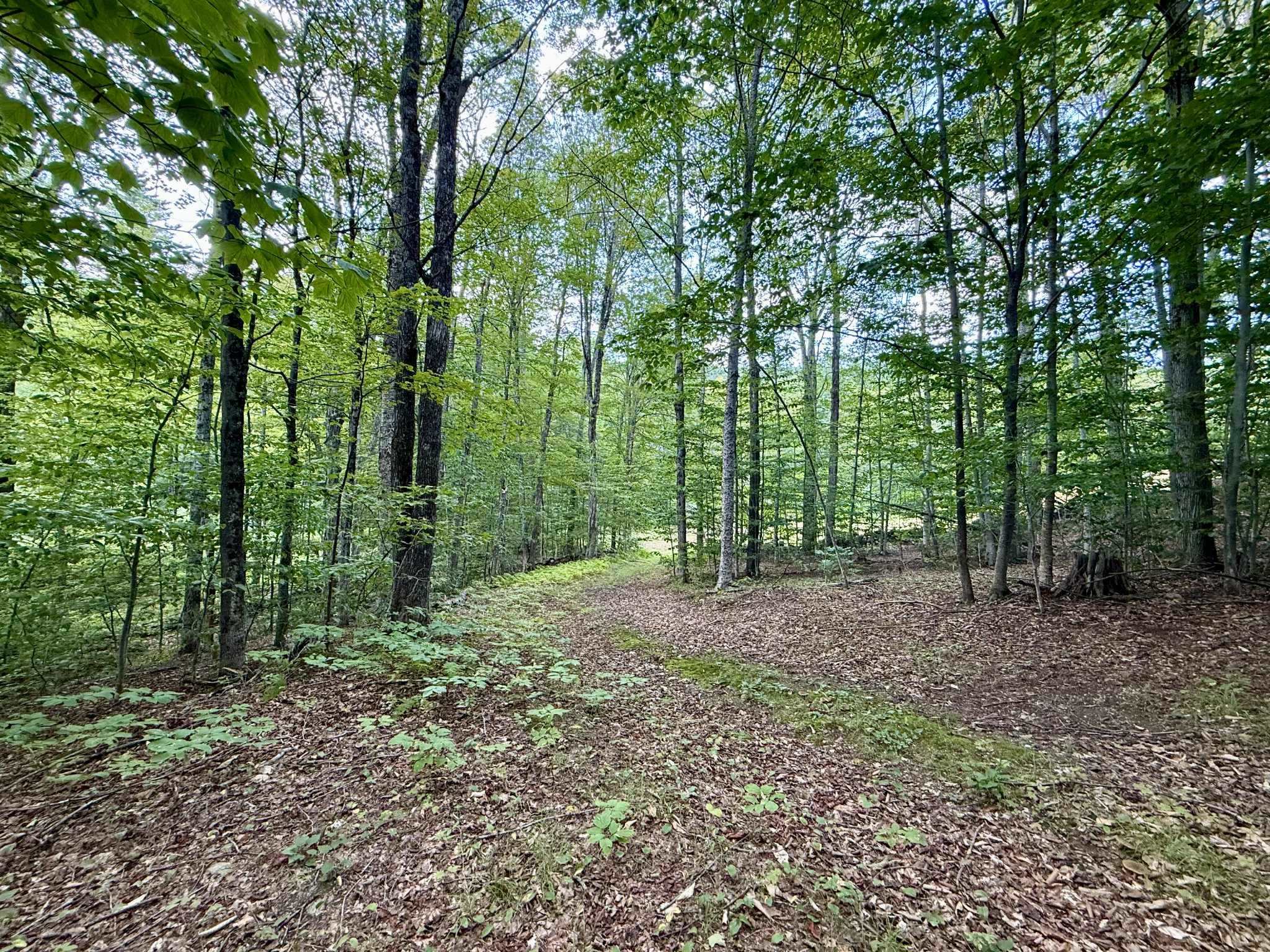 1342 Old Coach Road Chester, VT 05143 - Photo 45 of 56