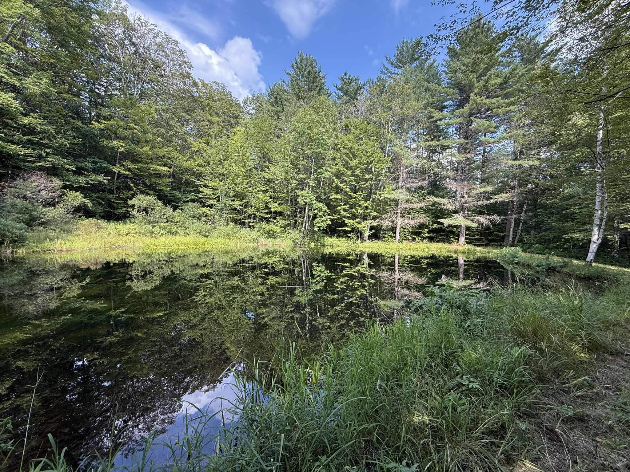 1342 Old Coach Road Chester, VT 05143 - Photo 48 of 56