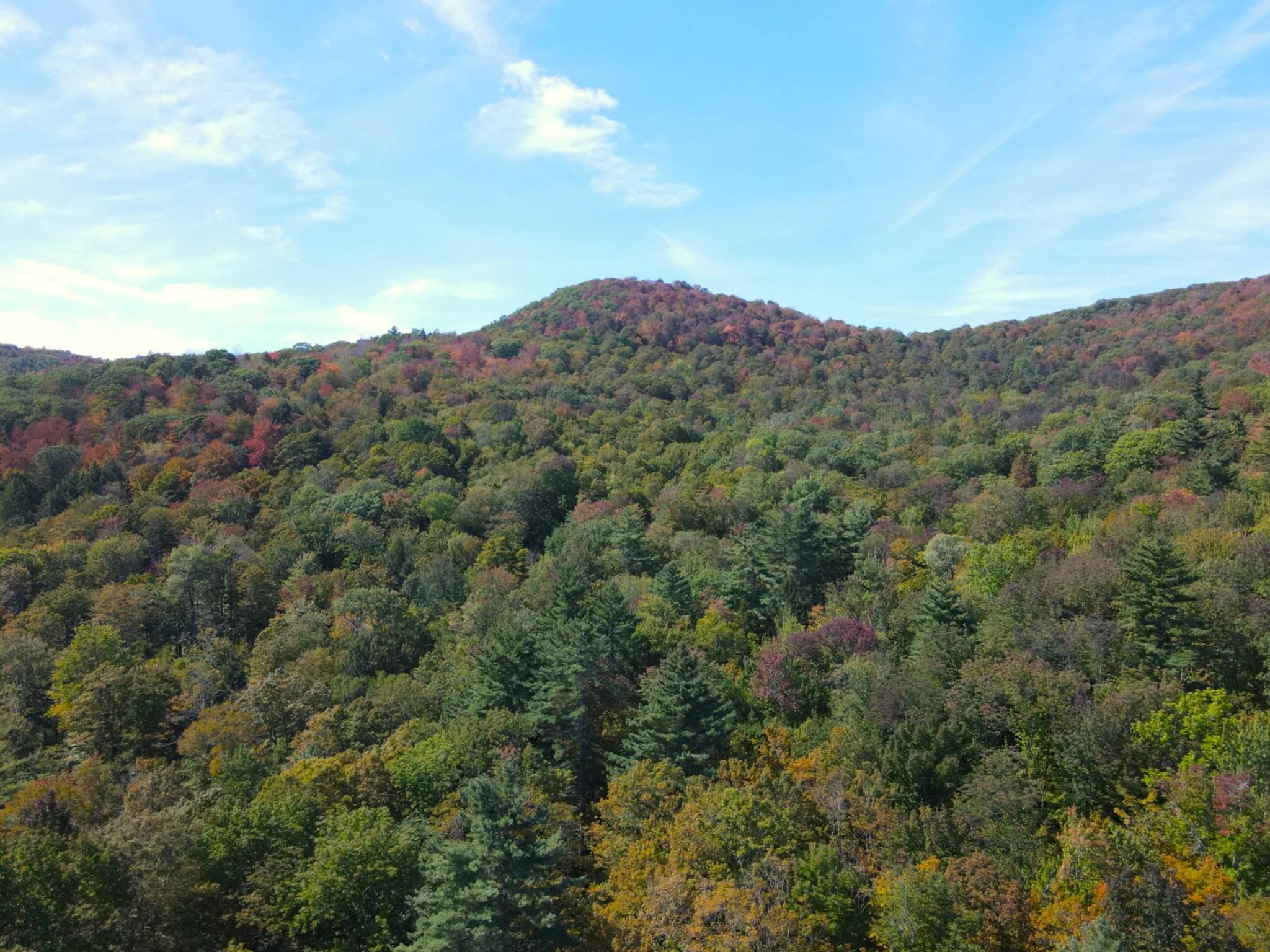1342 Old Coach Road Chester, VT 05143 - Photo 56 of 56