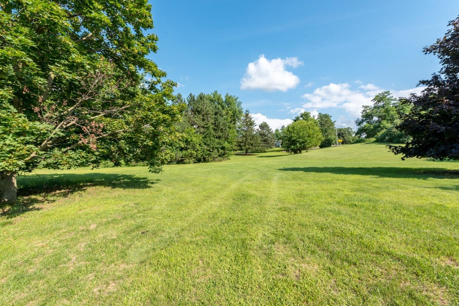 1611 South Fletcher Road Chelsea, MI 48118 - Photo 2 of 28 Photo 2