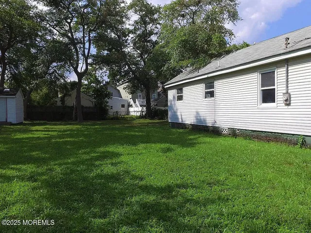a view of a backyard with plants and large tree