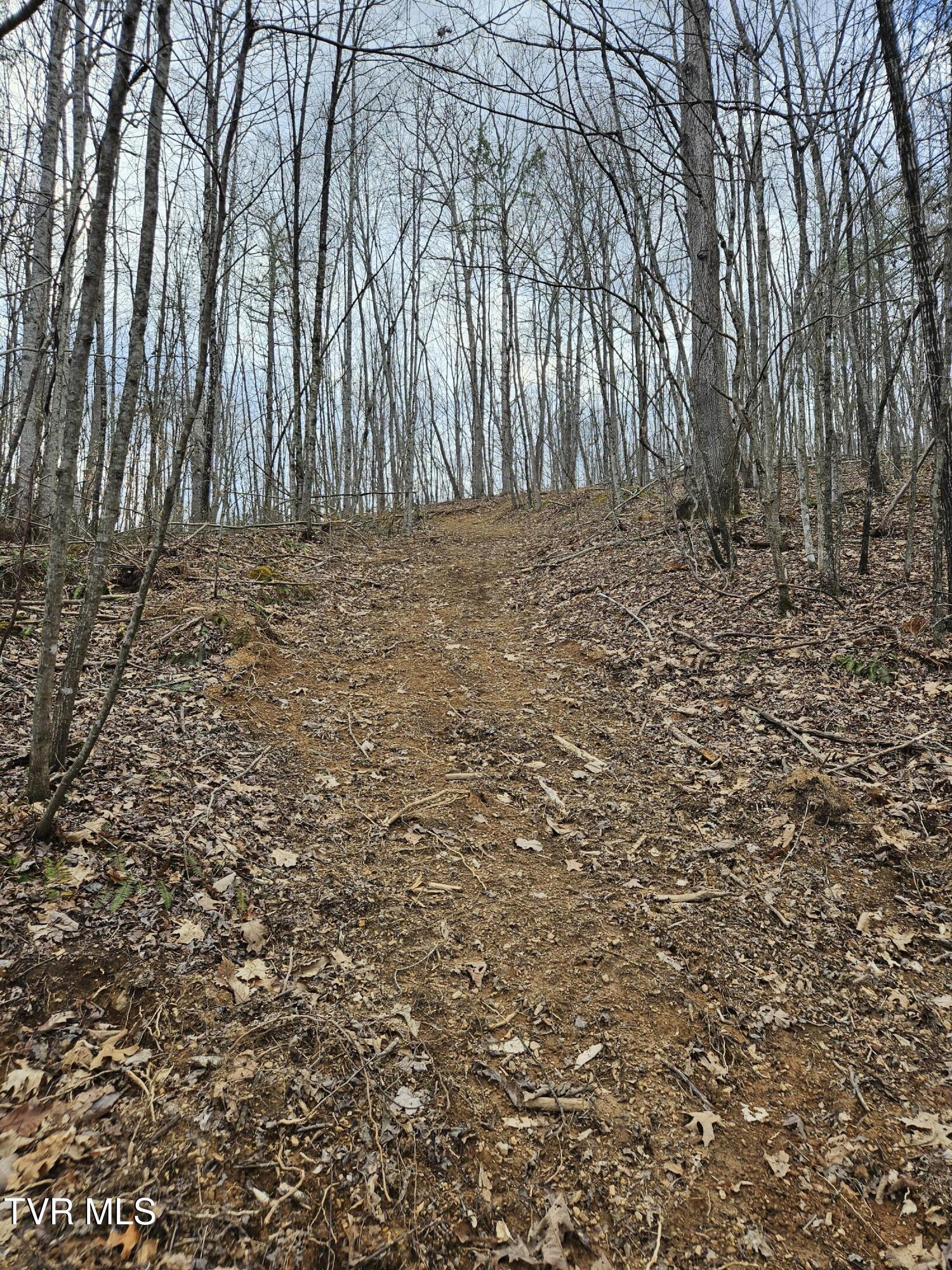 Tbd Right Poor Valley Road Pennington Gap, VA 24277 - Photo 11 of 26 20250325_172400